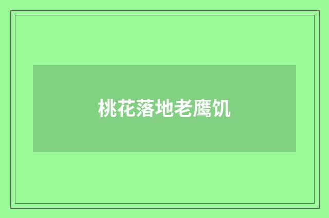 桃花落地老鹰饥