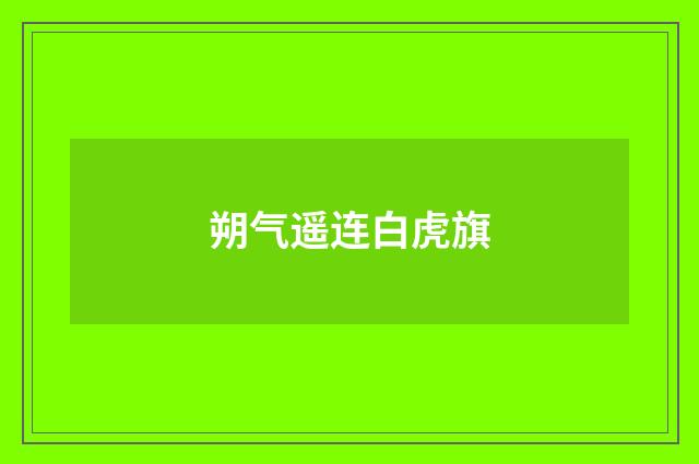 朔气遥连白虎旗