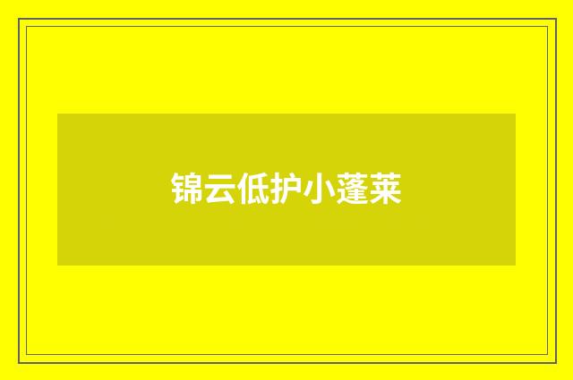 锦云低护小蓬莱