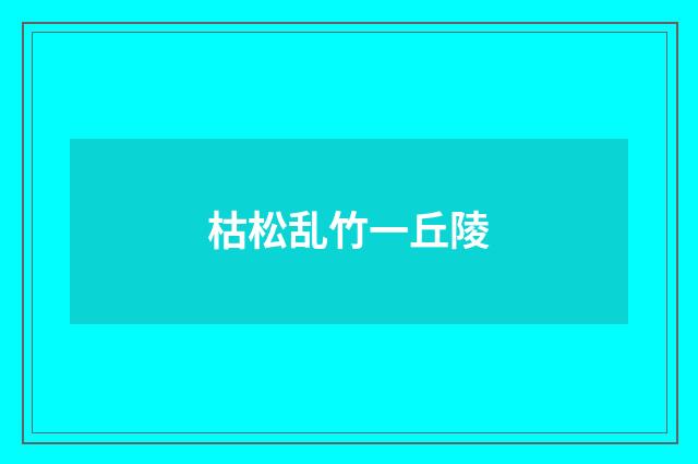 枯松乱竹一丘陵