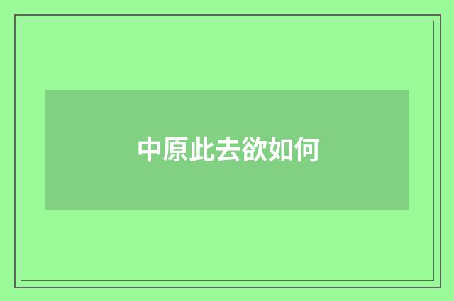 中原此去欲如何