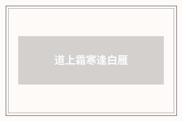道上霜寒逢白雁