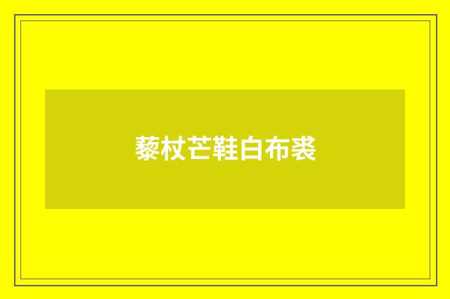 藜杖芒鞋白布裘