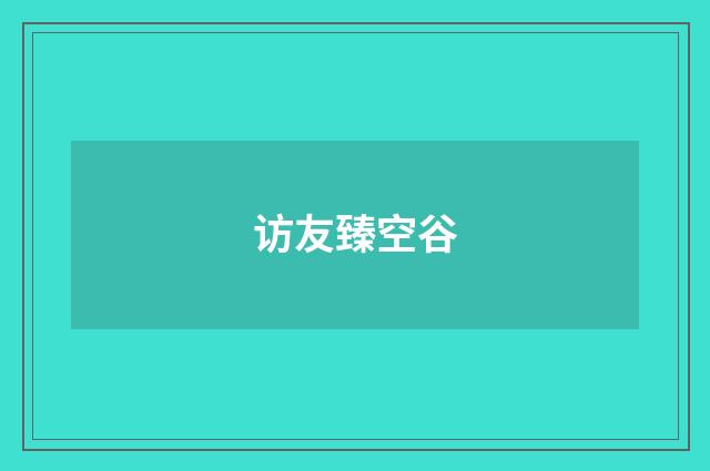 访友臻空谷