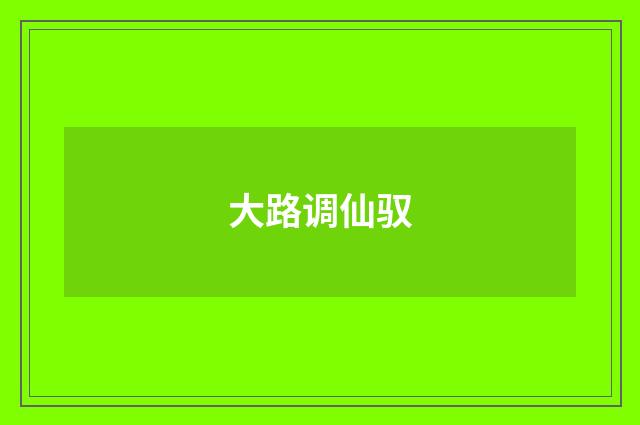 大路调仙驭