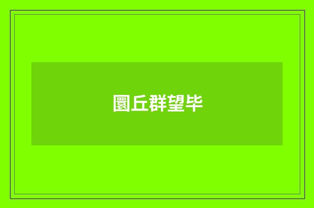 圜丘群望毕