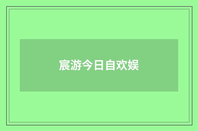 宸游今日自欢娱