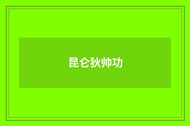 昆仑狄帅功