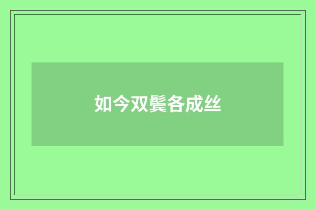 如今双鬓各成丝