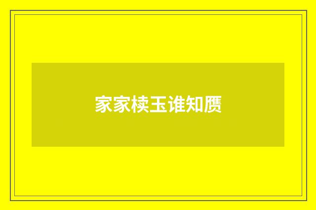 家家椟玉谁知赝