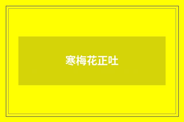 寒梅花正吐
