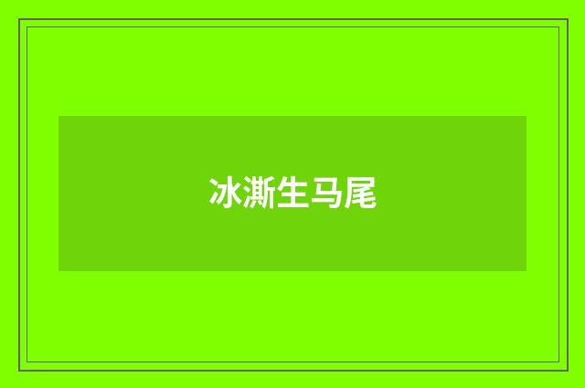 冰澌生马尾