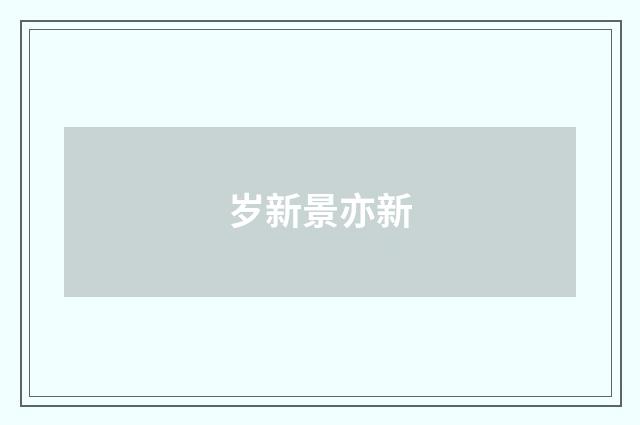 岁新景亦新