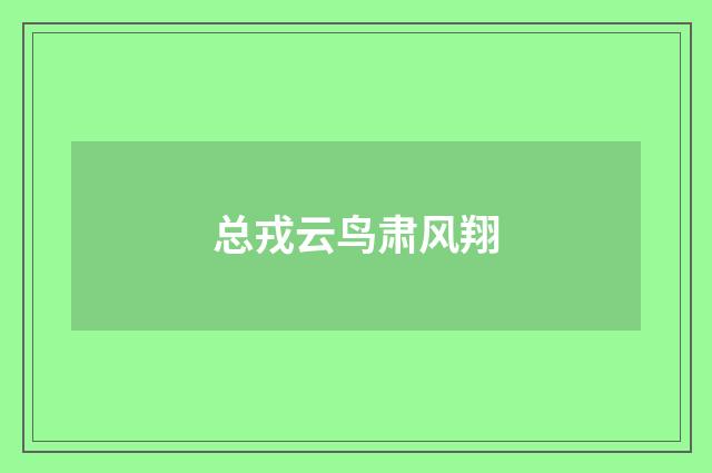 总戎云鸟肃风翔