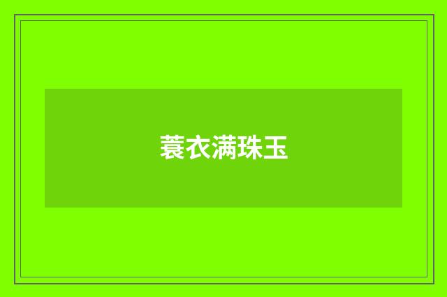 蓑衣满珠玉