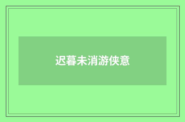 迟暮未消游侠意