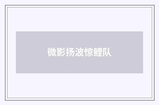 微影扬波惊鲤队
