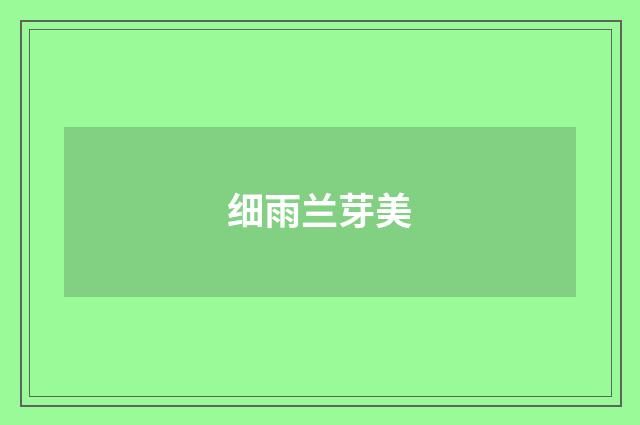 细雨兰芽美