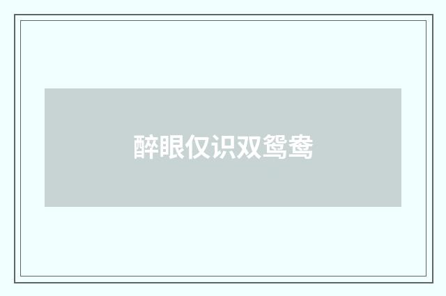 醉眼仅识双鸳鸯