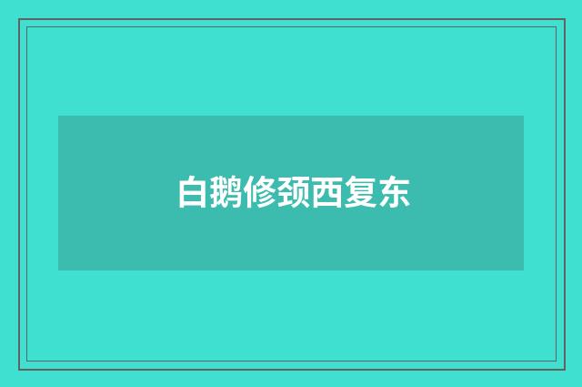 白鹅修颈西复东