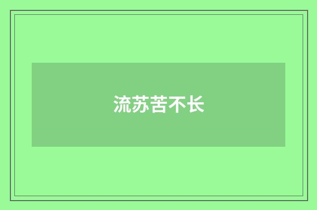 流苏苦不长