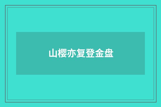 山樱亦复登金盘