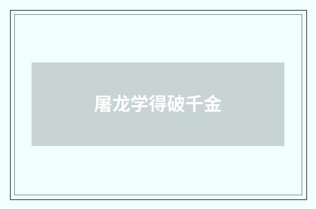屠龙学得破千金