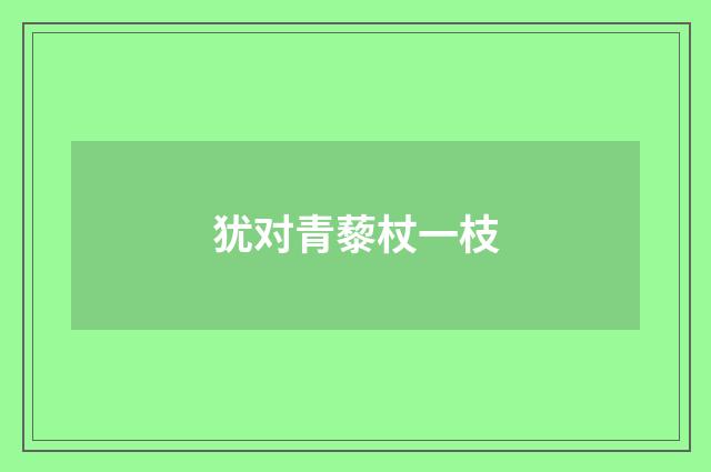 犹对青藜杖一枝