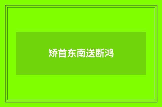 矫首东南送断鸿