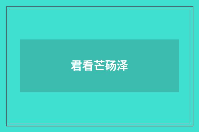 君看芒砀泽