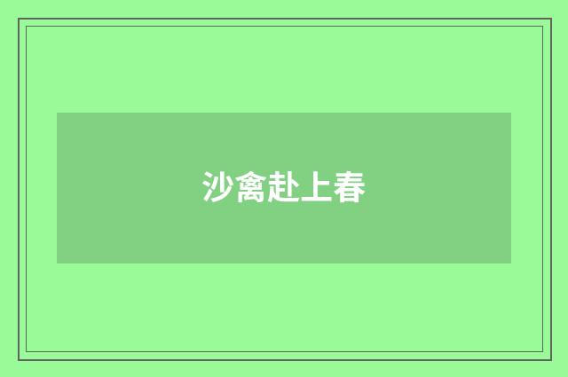 沙禽赴上春