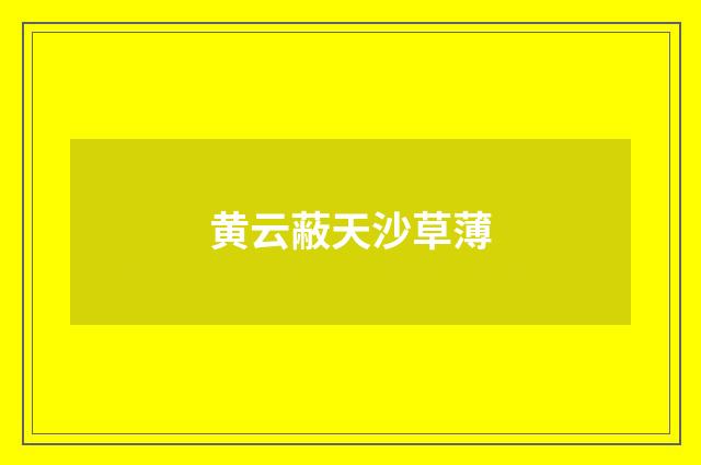 黄云蔽天沙草薄