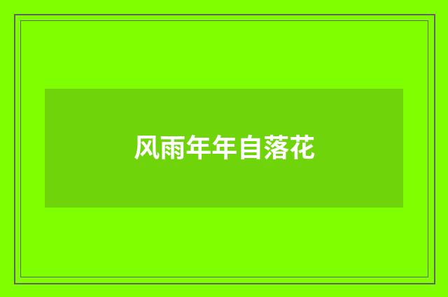 风雨年年自落花