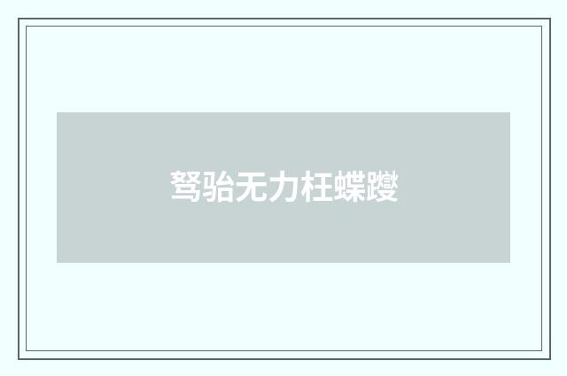 驽骀无力枉蝶躞