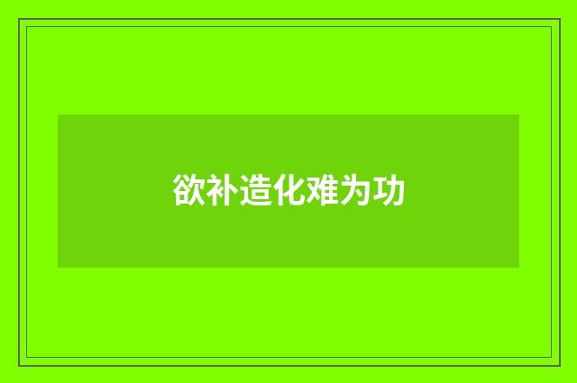 欲补造化难为功