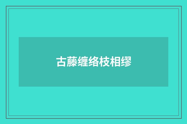 古藤缠络枝相缪
