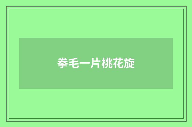 拳毛一片桃花旋