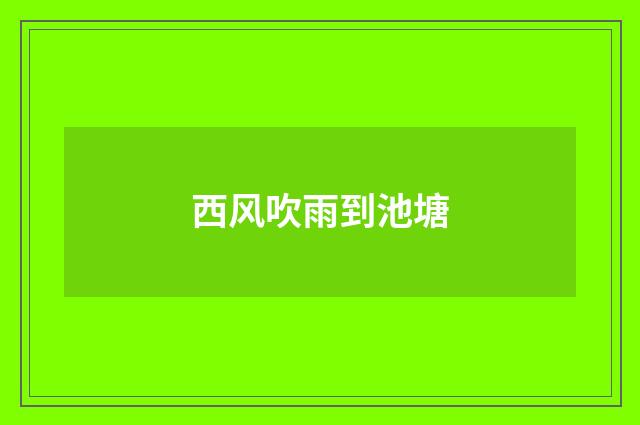 西风吹雨到池塘