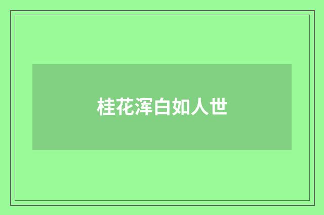 桂花浑白如人世