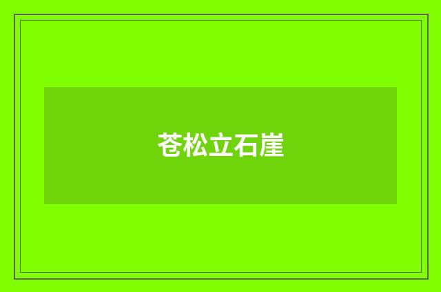 苍松立石崖