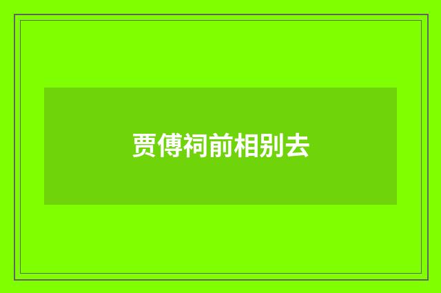 贾傅祠前相别去