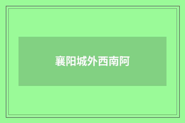 襄阳城外西南阿
