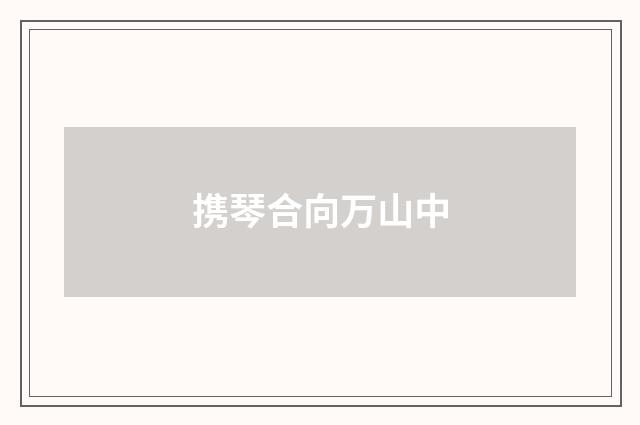 携琴合向万山中