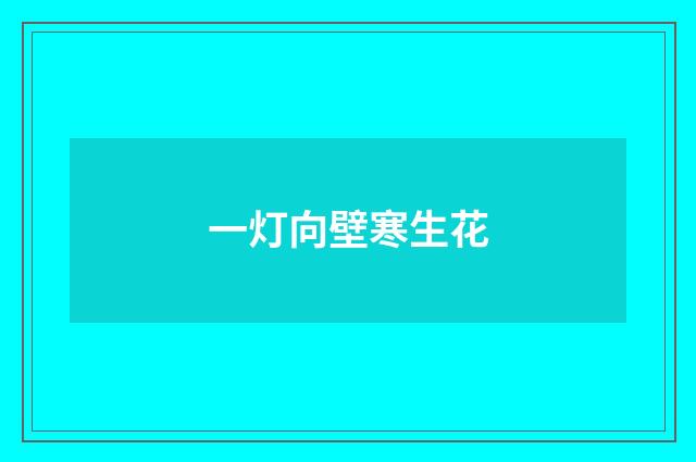 一灯向壁寒生花