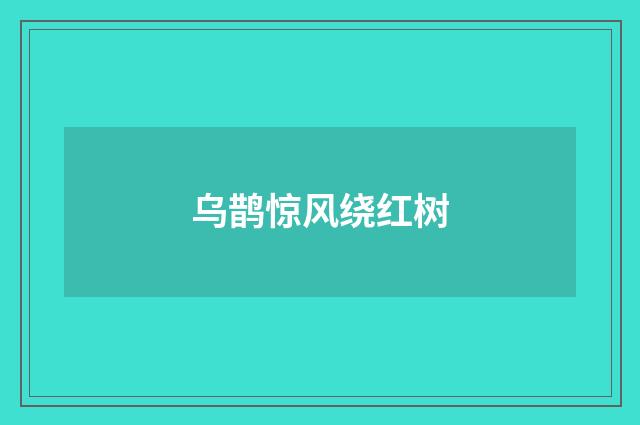 乌鹊惊风绕红树