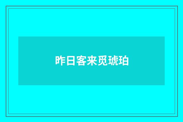 昨日客来觅琥珀