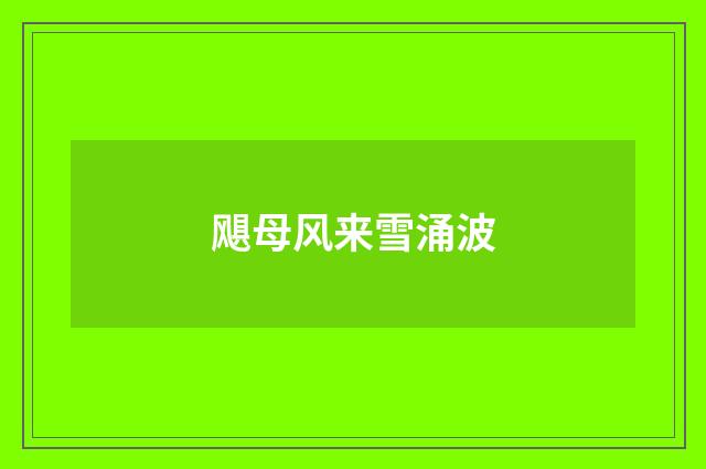 飓母风来雪涌波
