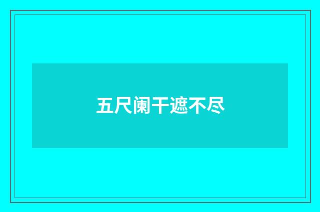 五尺阑干遮不尽