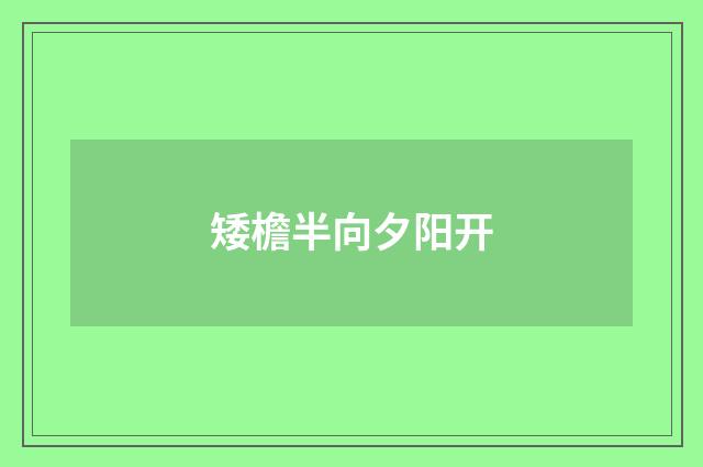 矮檐半向夕阳开