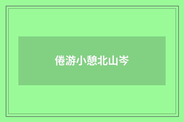 倦游小憩北山岑